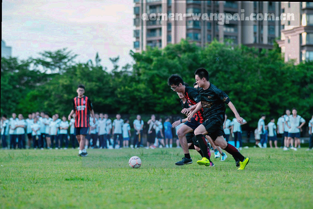三个抽象几何体由细线连接形成闭环，表示三方协作