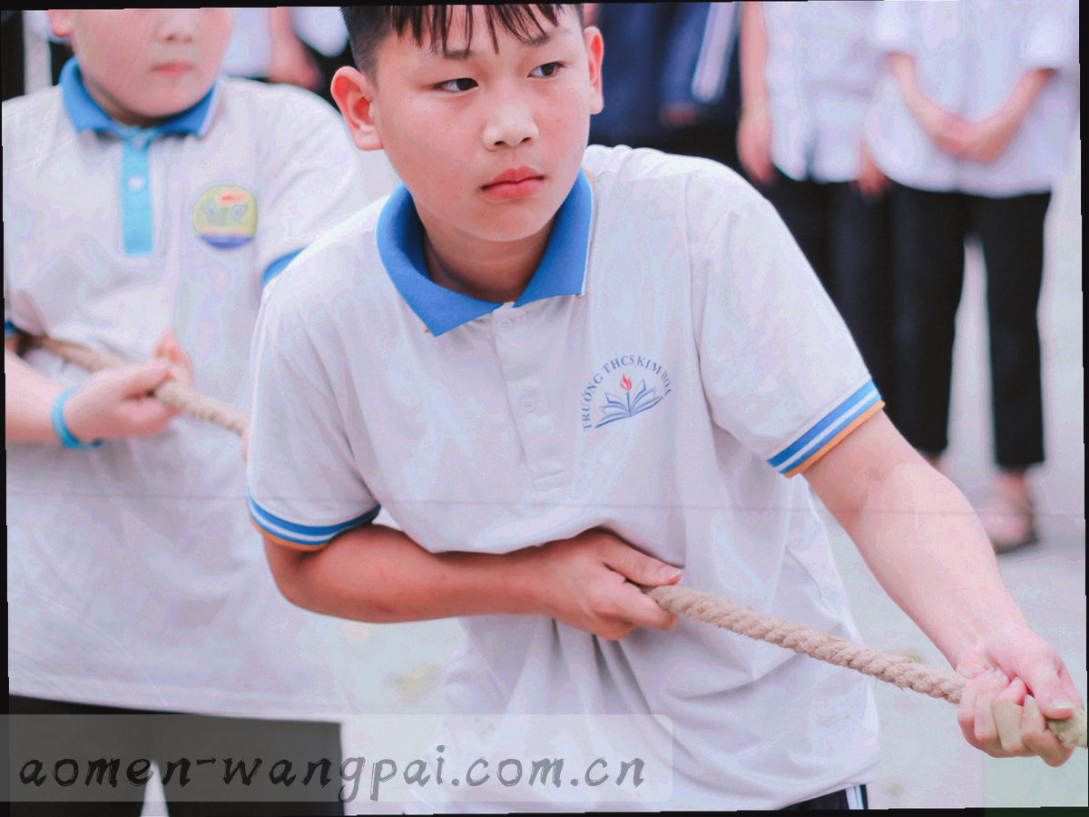 三段渐次变亮的红色光带，段与段之间以金色细线分隔